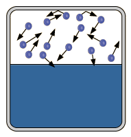 Evaporation evaporation